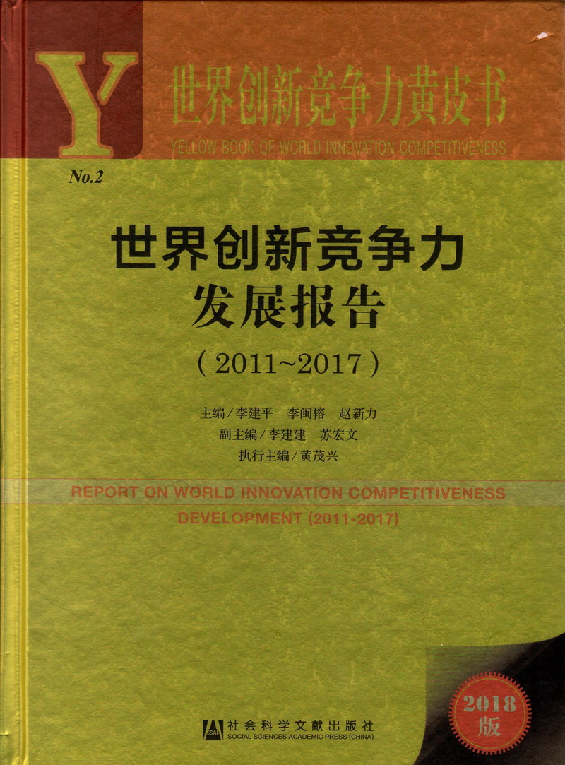 国产性爱大片老太太版世界创新竞争力发展报告（2011-2017）